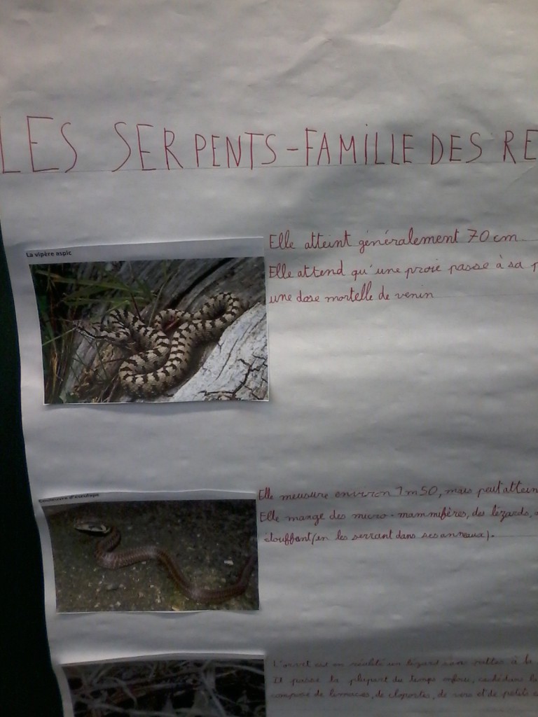 espose1