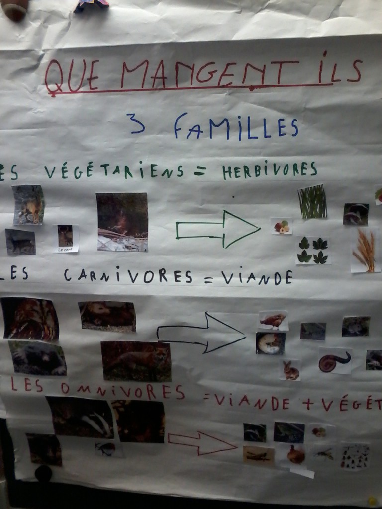 espose2